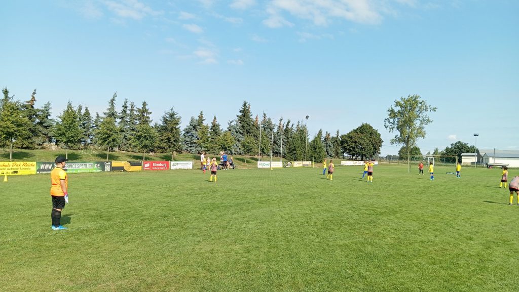 E1 beim KiFu-Turnier Pehritzsch im Spiel gegen SV Wölkau, Gegner führt gerade einen Abstoß aus.