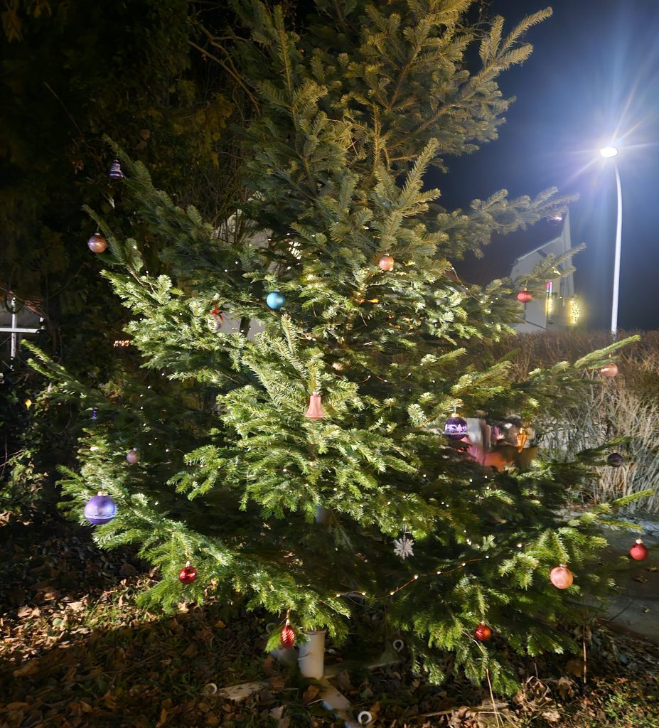 Geschmückter Weihnachtsbaum beim Wintergrillen des SV Concordia Schenkenberg