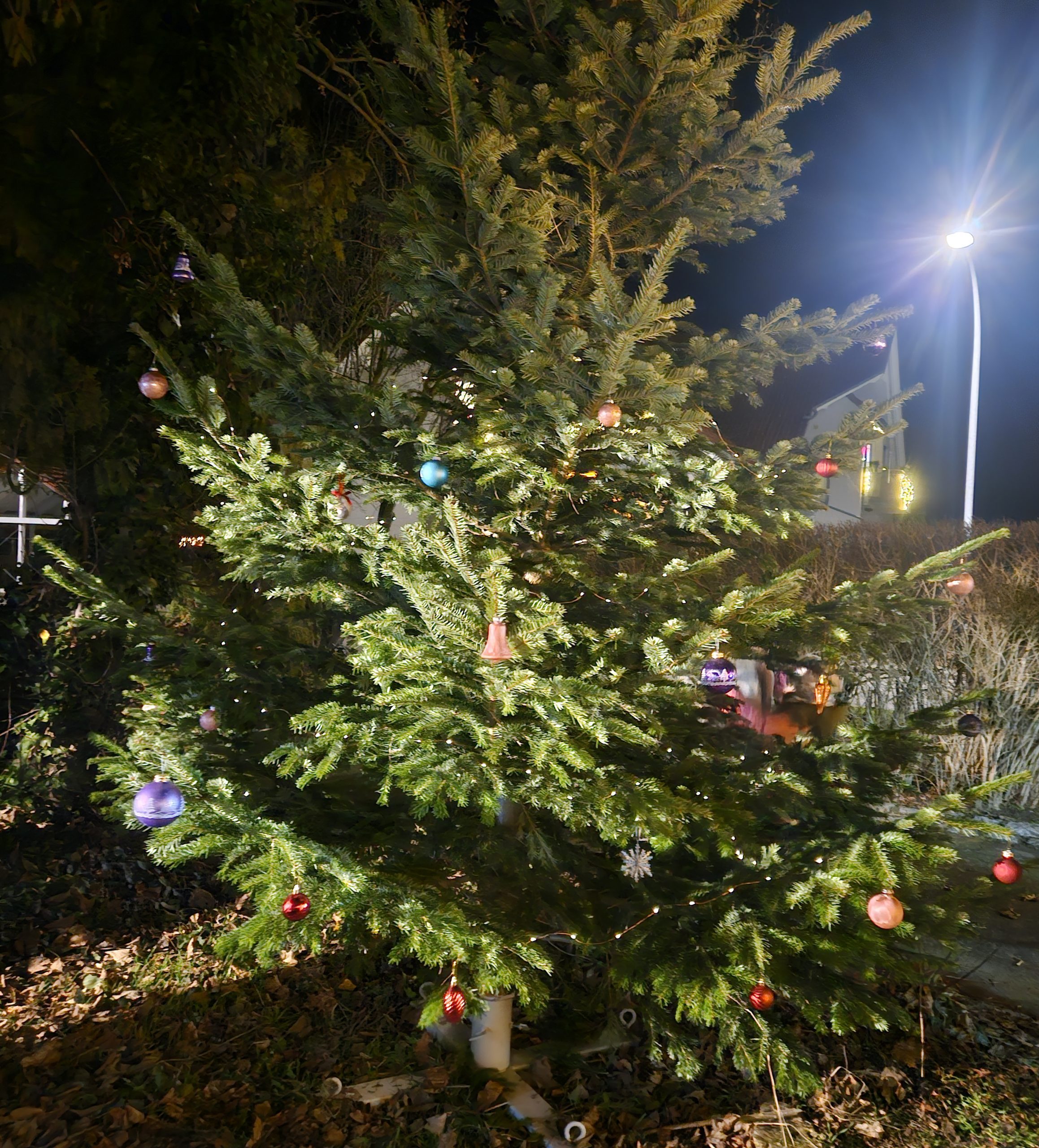 Wintergrillen 2025 – Gemütlicher Winterabend für die ganze Familie