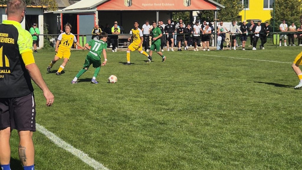 Blick entlang der Seitenlinie beim Heimspiel der Concorden gegen Chemie Leipzig II